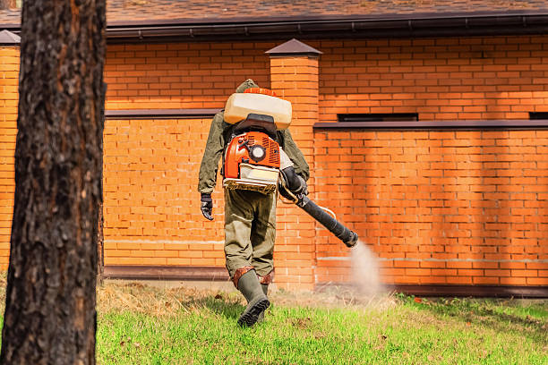Top rated local Mosquito Control specialists in Rossville, TN